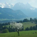 Baerfeld