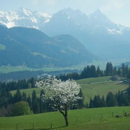 Baerfeld